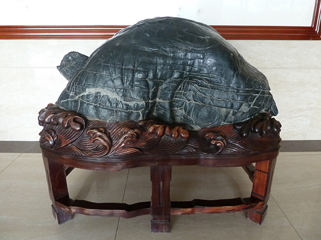 福寿·灵璧石