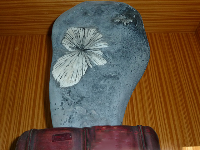 Chrysanthemum stone