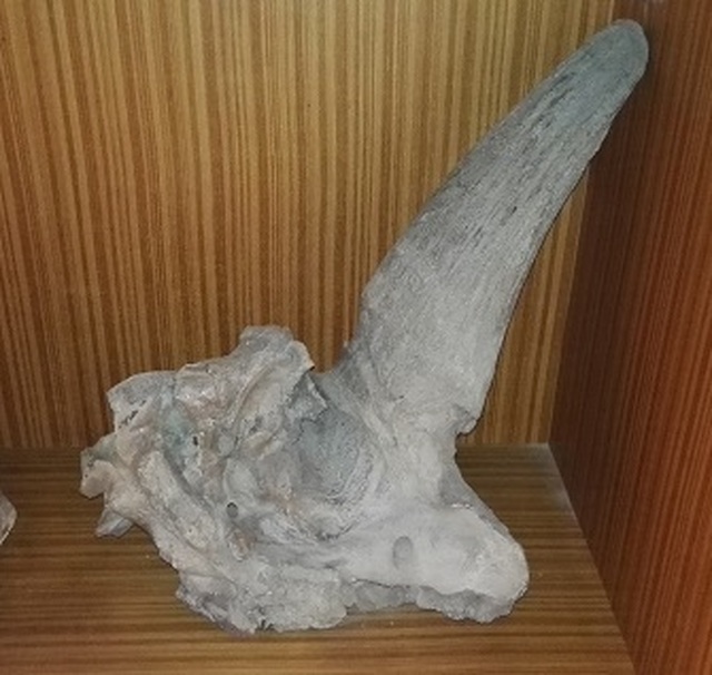 Pork belly and meat stones